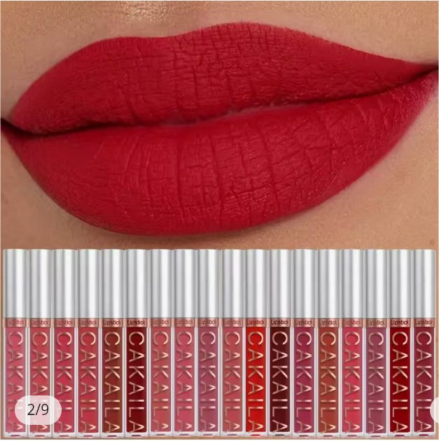 10 pc matte lipstick lip gloss