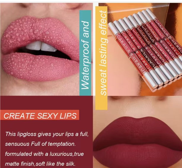 10 pc matte lipstick lip gloss